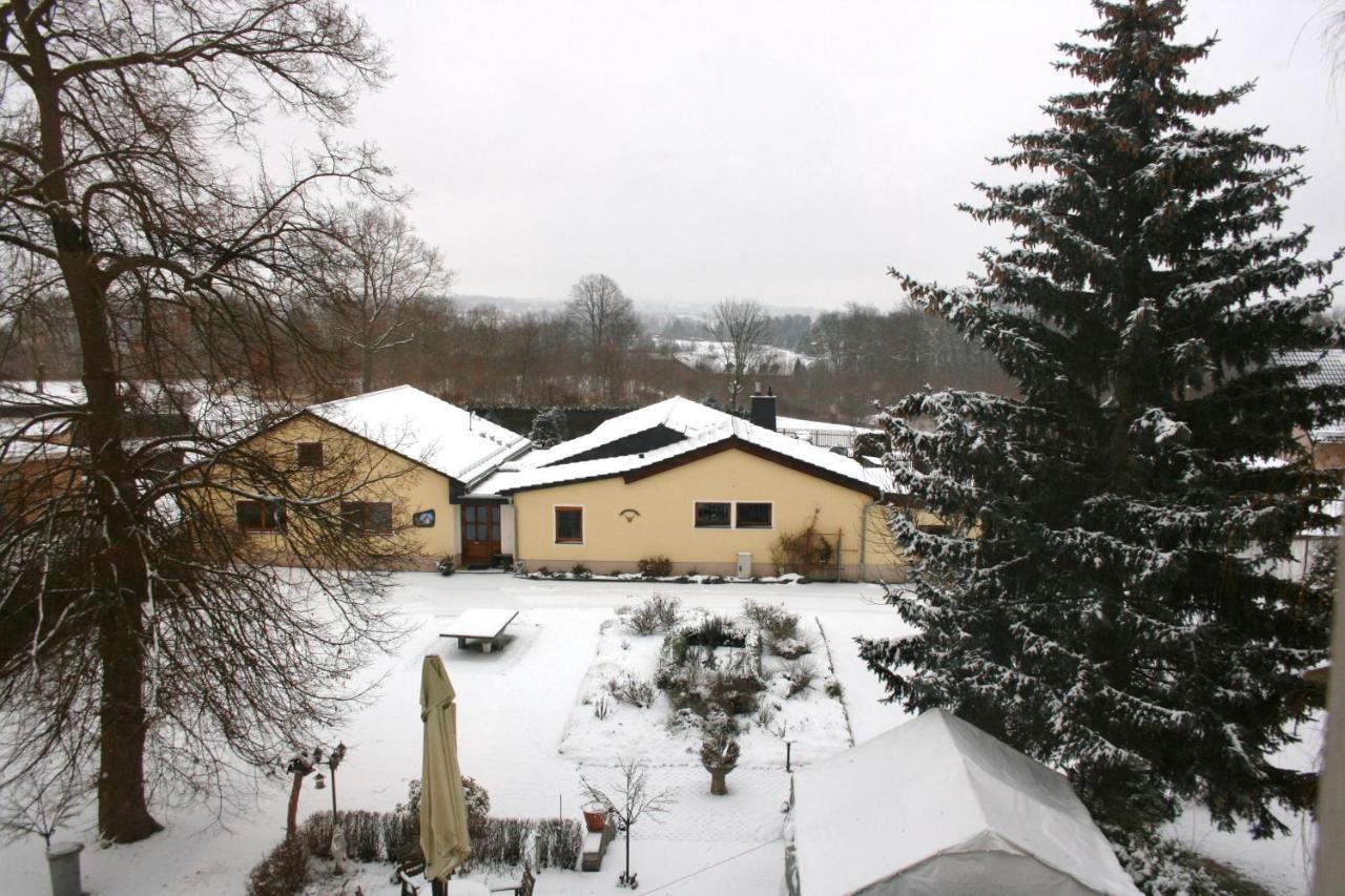 Villa Goeltzschtalblick Netzschkau المظهر الخارجي الصورة